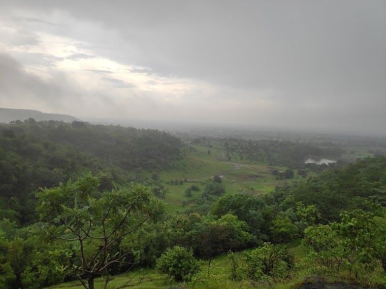 Ananthagiri Forest-2